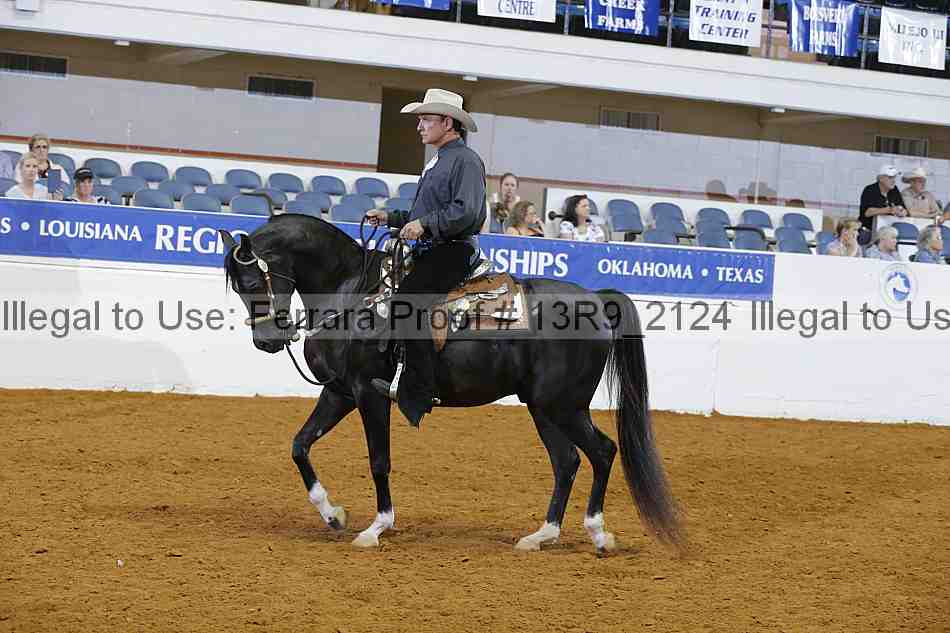 Proof Number 13r9_2124