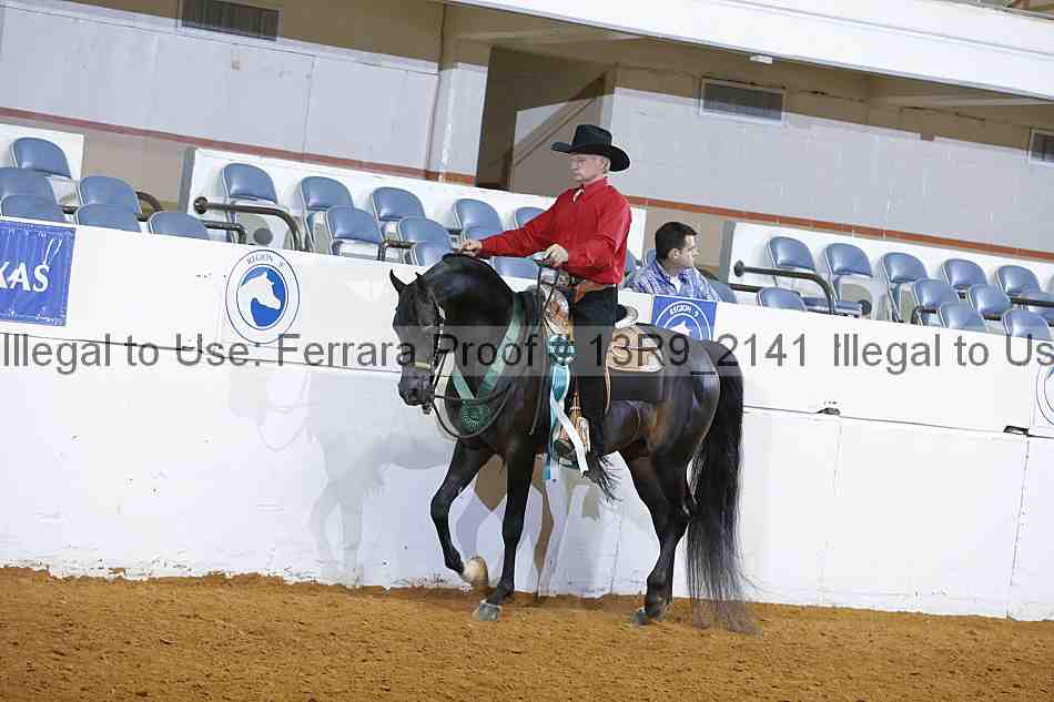 Proof Number 13r9_2141