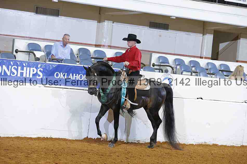 Proof Number 13r9_2142