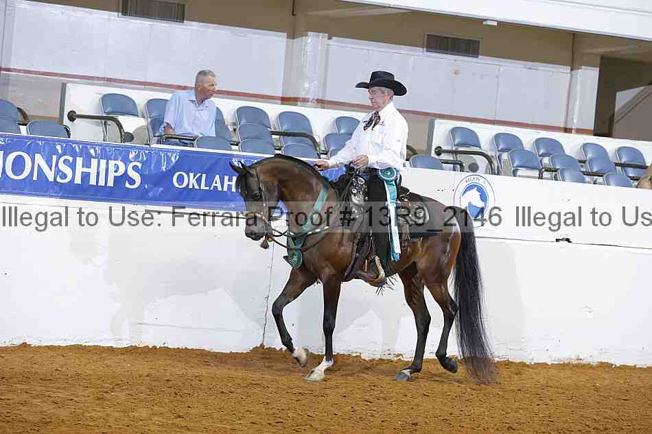 Proof Number 13r9_2146
