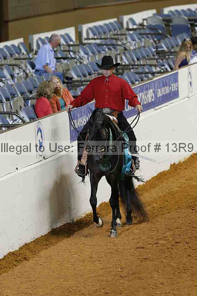 Proof Number 13r9_2147