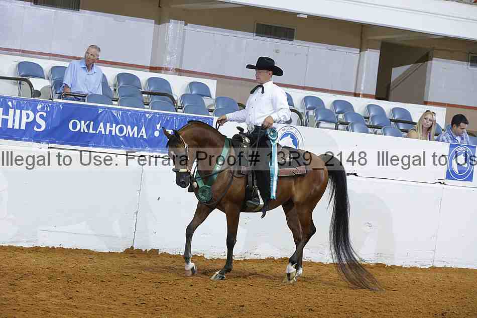 Proof Number 13r9_2148