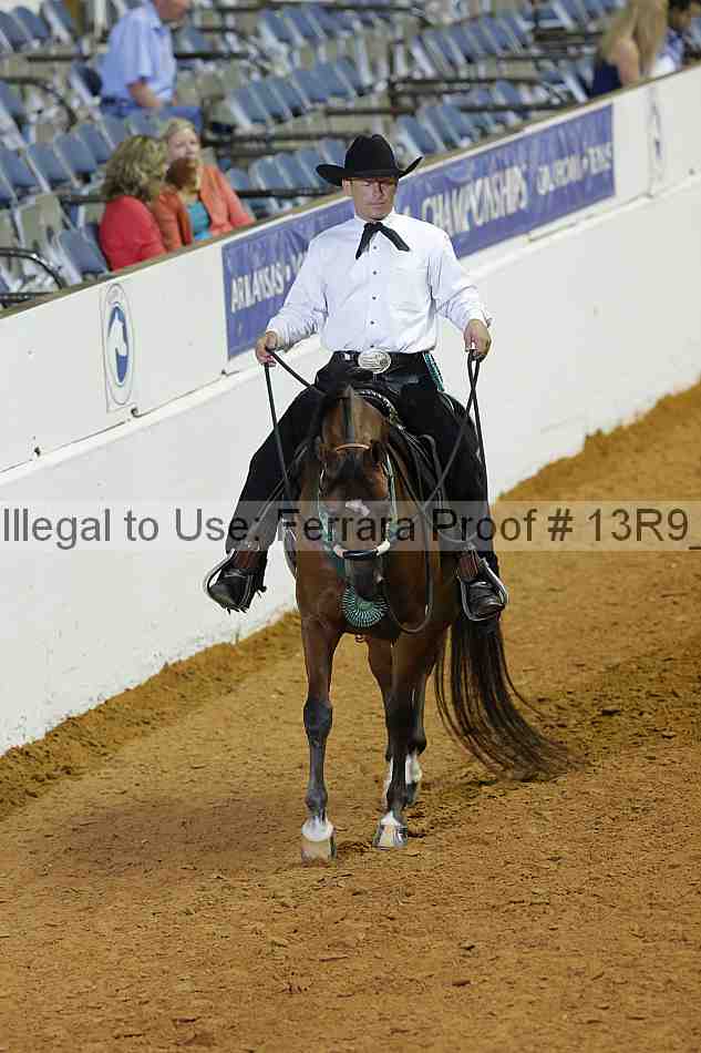 Proof Number 13r9_2153