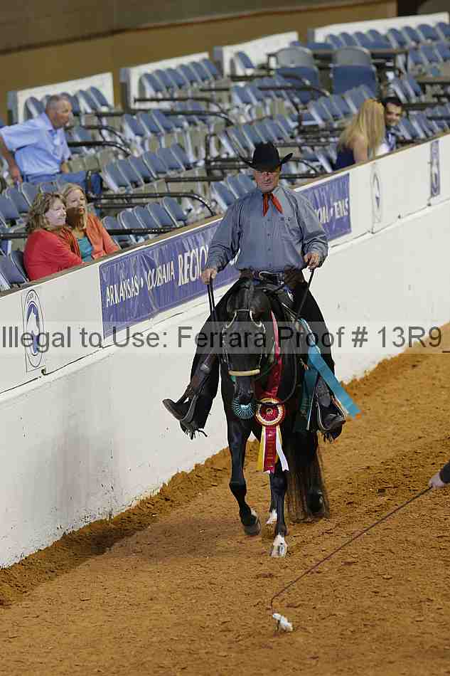 Proof Number 13r9_2156