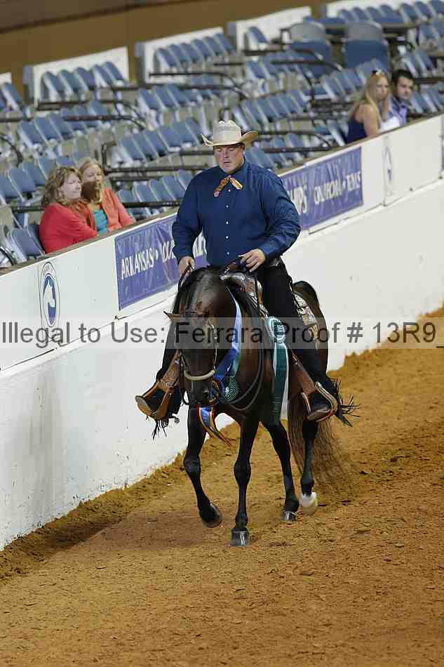 Proof Number 13r9_2161