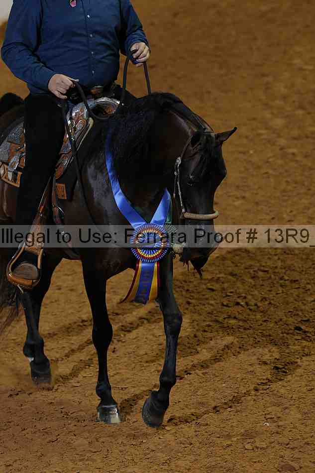 Proof Number 13r9_2162