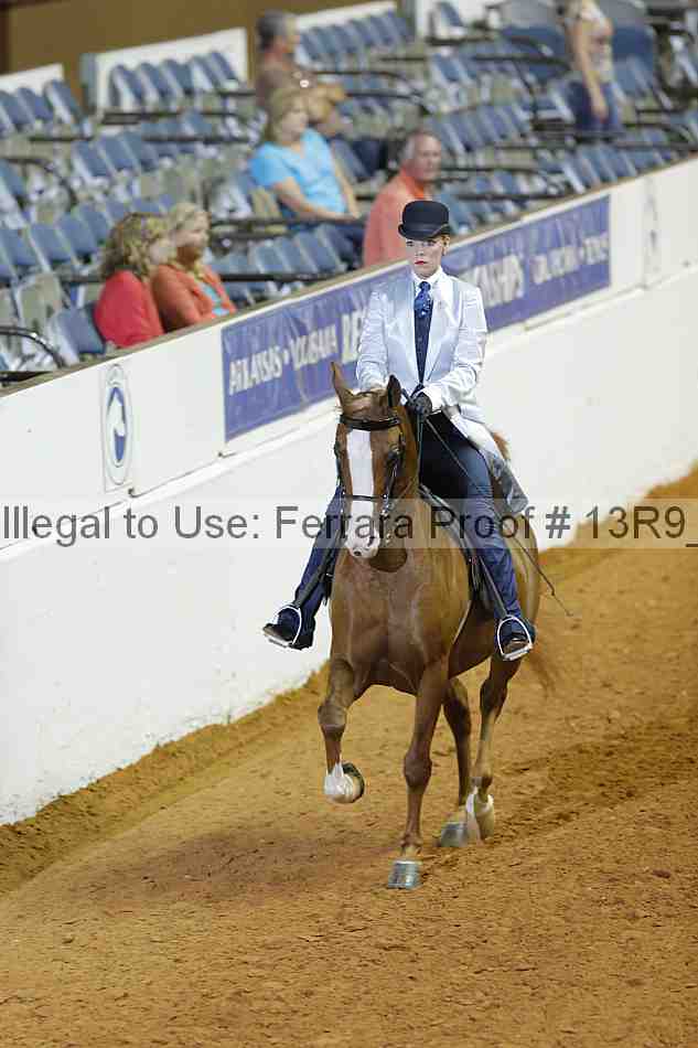 Proof Number 13r9_2249