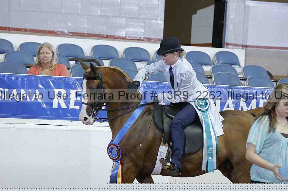 Proof Number 13r9_2262