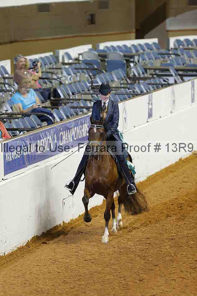 Proof Number 13r9_2269
