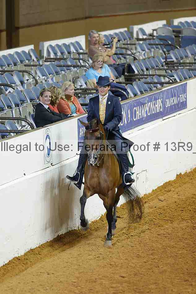 Proof Number 13r9_2273