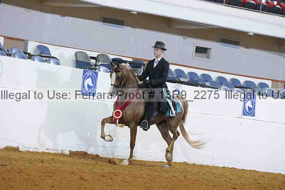 Proof Number 13r9_2275