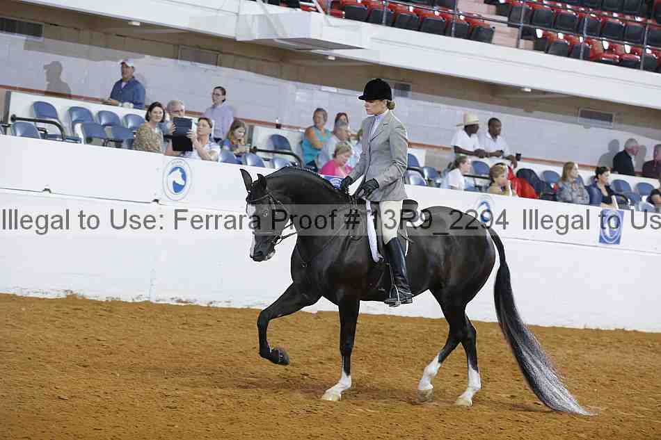Proof Number 13r9_2294