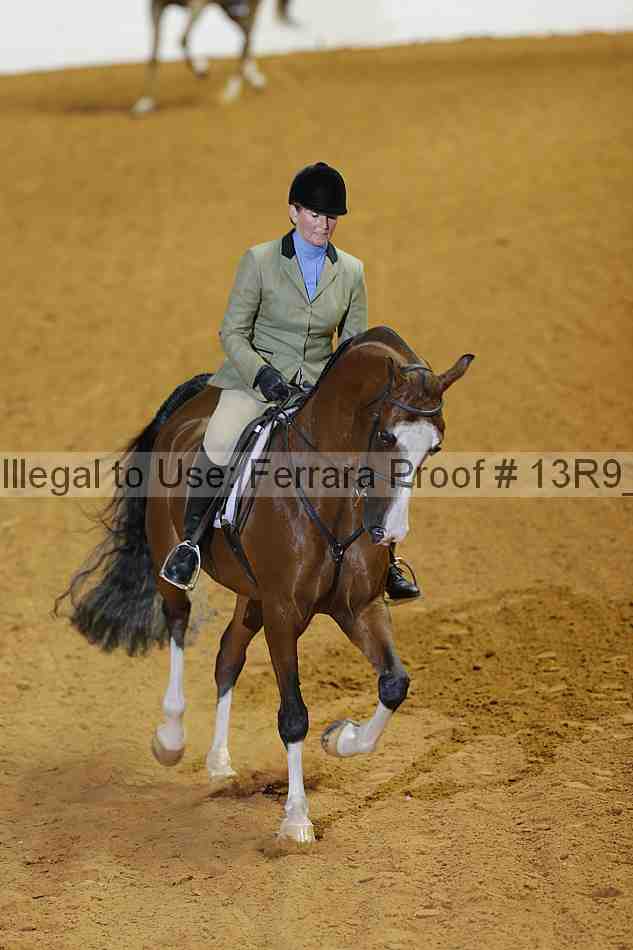 Proof Number 13r9_2296