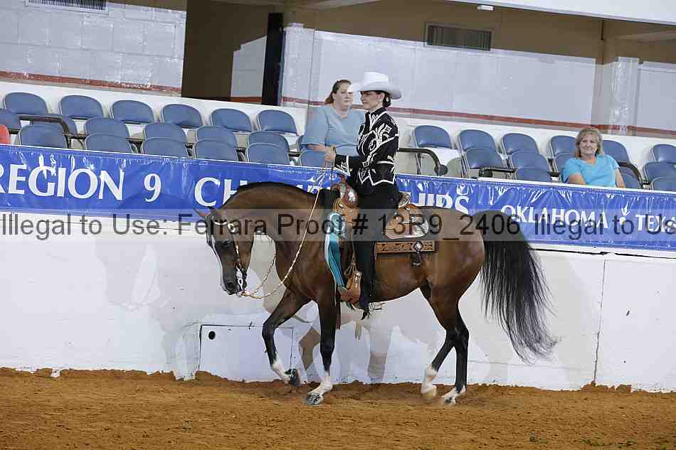 Proof Number 13r9_2406