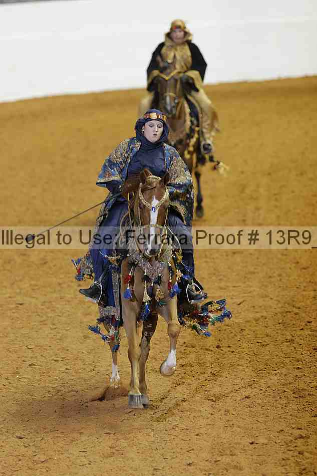 Proof Number 13r9_2448