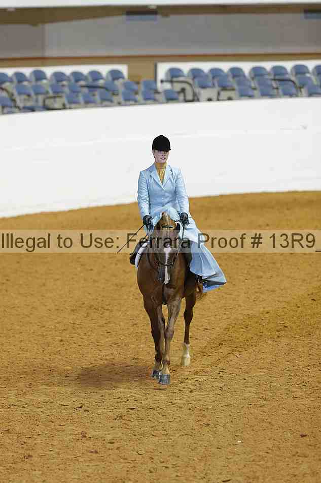 Proof Number 13r9_2500
