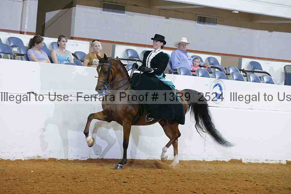 Proof Number 13r9_2524