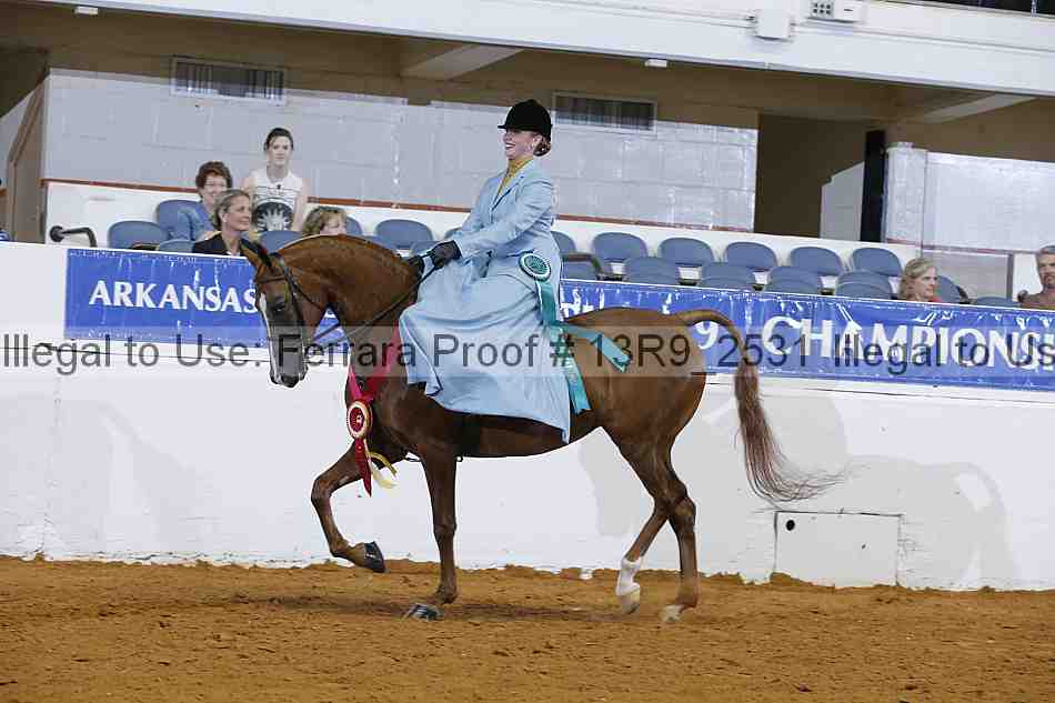 Proof Number 13r9_2531