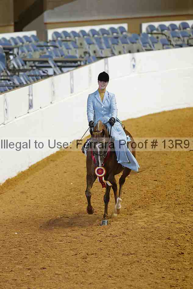 Proof Number 13r9_2532