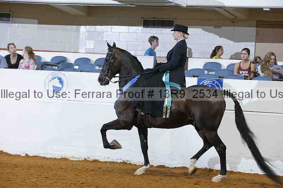 Proof Number 13r9_2534