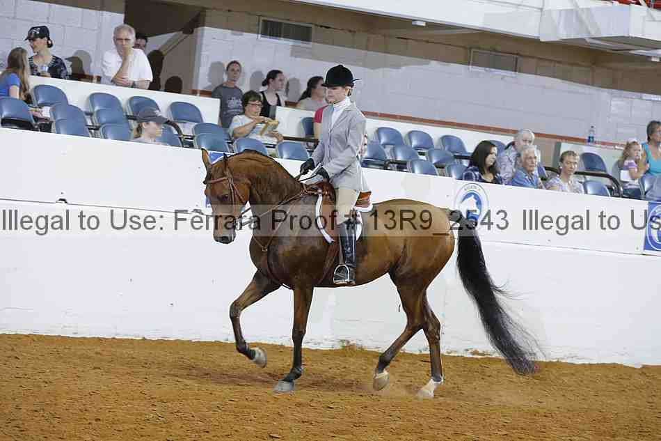 Proof Number 13r9_2543