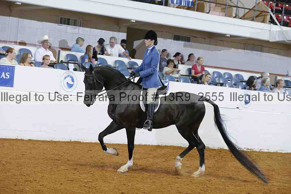 Proof Number 13r9_2555