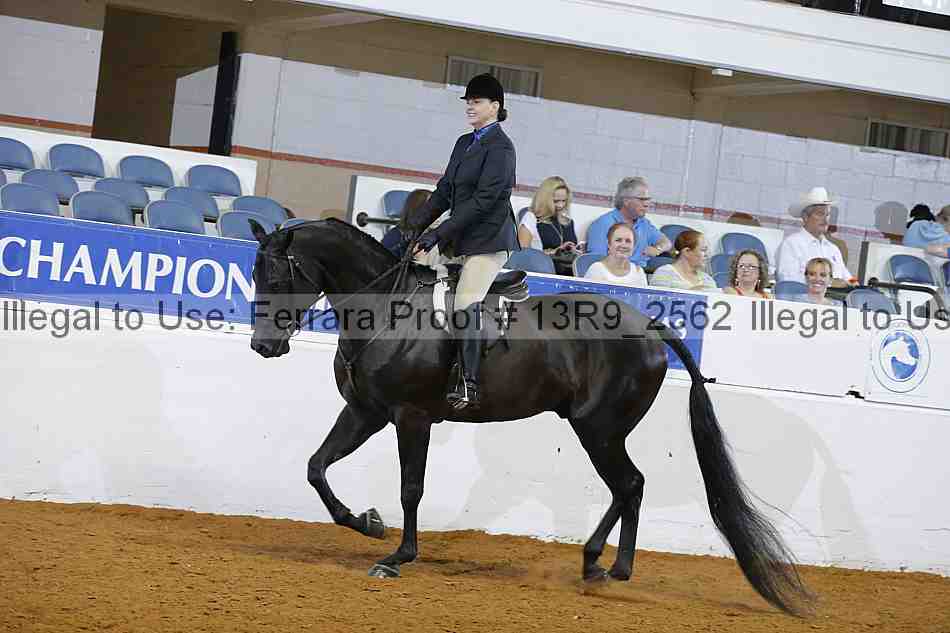 Proof Number 13r9_2562