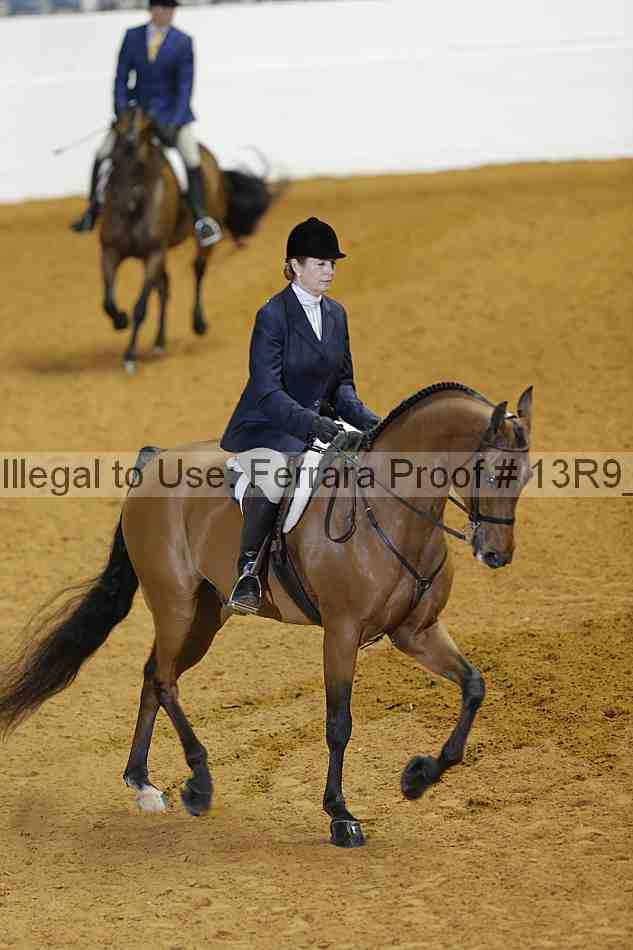 Proof Number 13r9_2565
