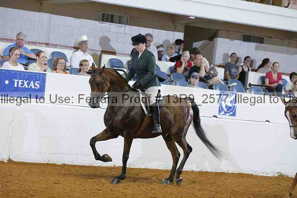 Proof Number 13r9_2577