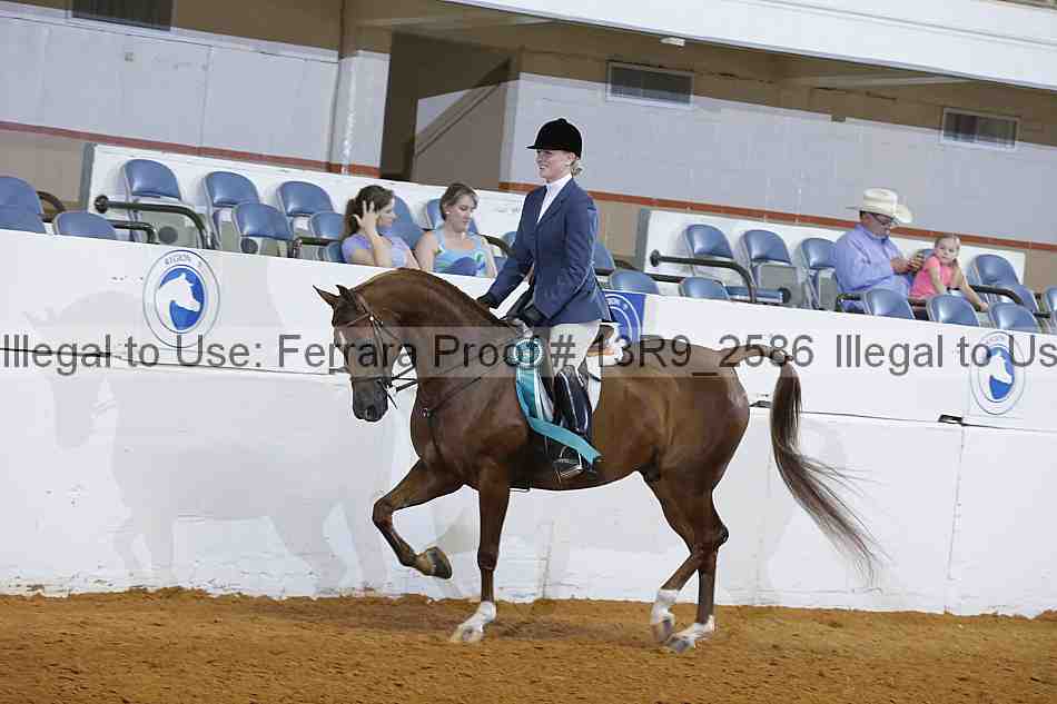 Proof Number 13r9_2586