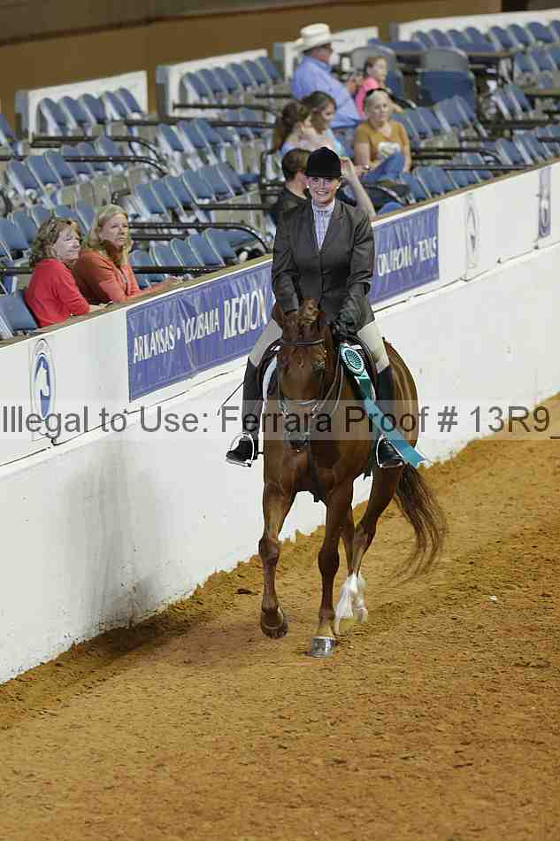 Proof Number 13r9_2593