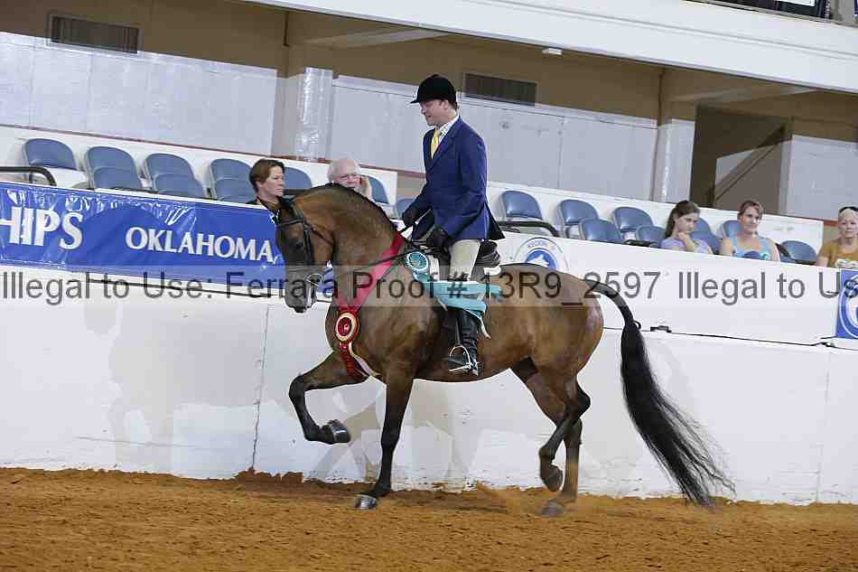 Proof Number 13r9_2597