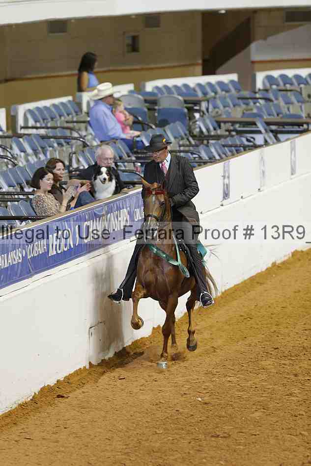 Proof Number 13r9_2635