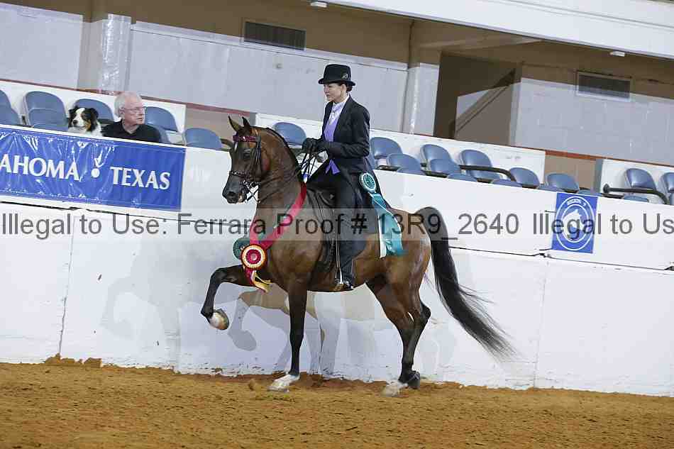Proof Number 13r9_2640