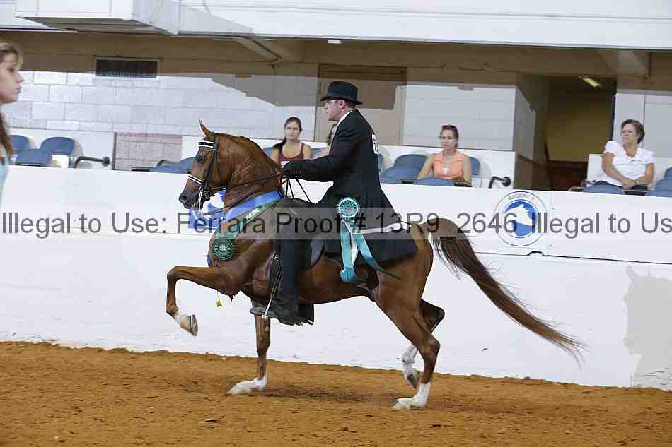Proof Number 13r9_2646