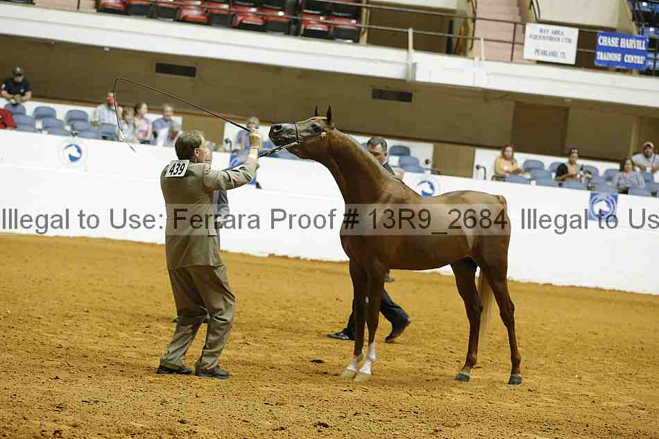 Proof Number 13r9_2684