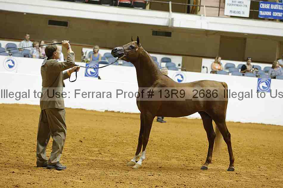 Proof Number 13r9_2686