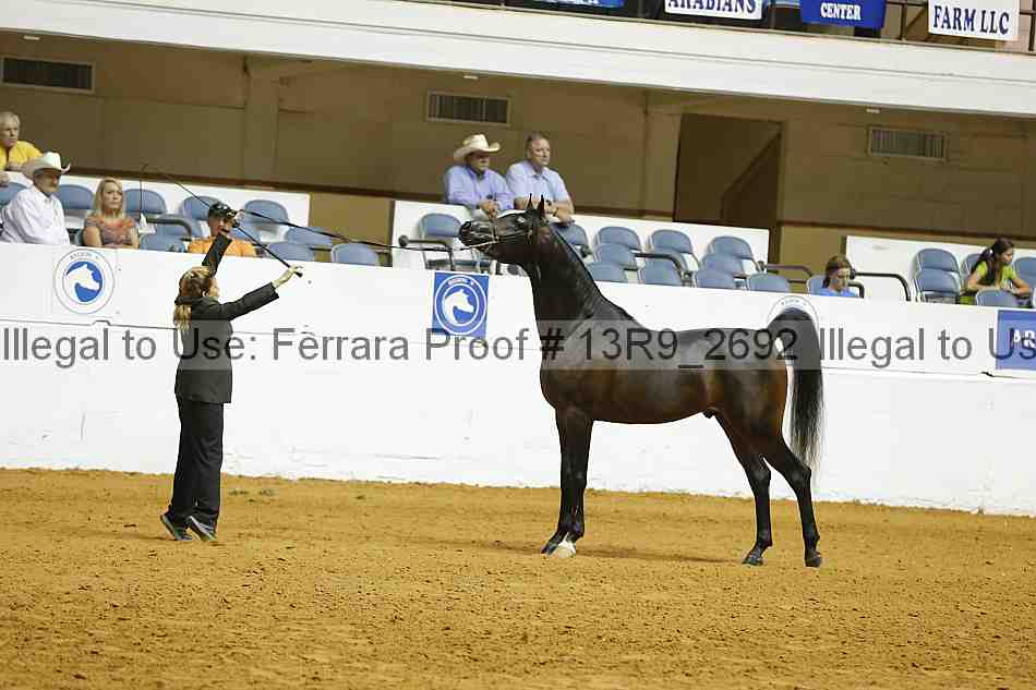 Proof Number 13r9_2692