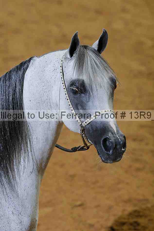 Proof Number 13r9_2702