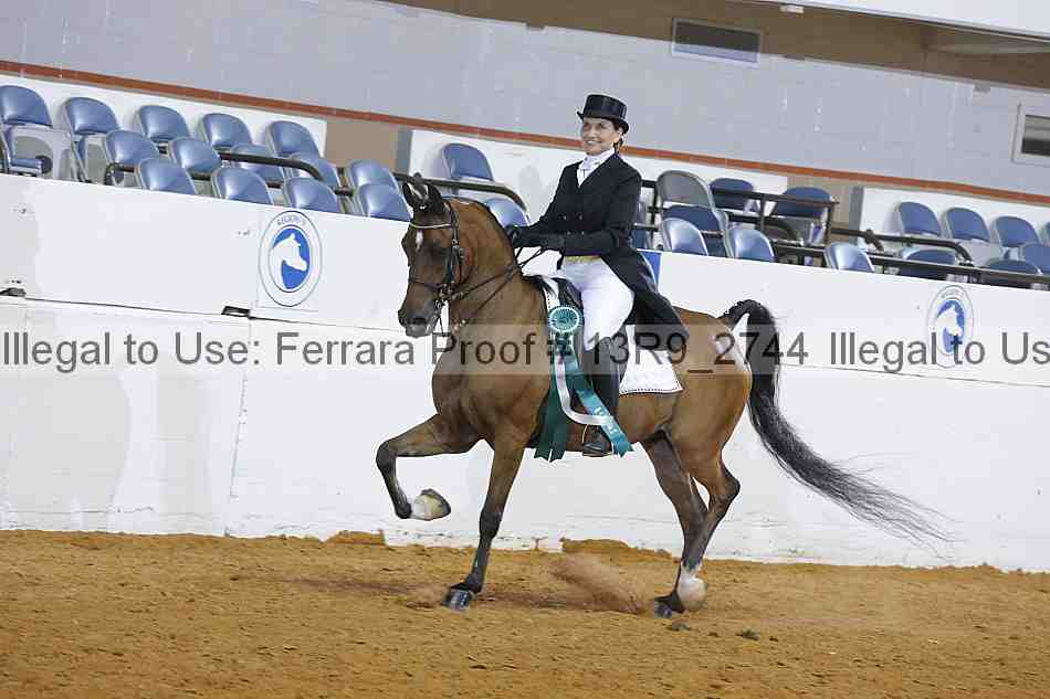Proof Number 13r9_2744