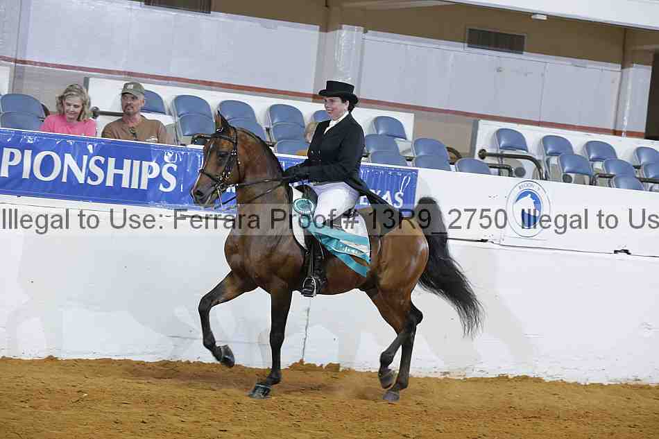 Proof Number 13r9_2750