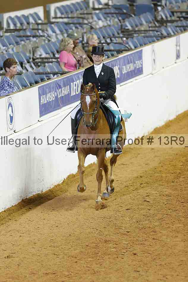 Proof Number 13r9_2751