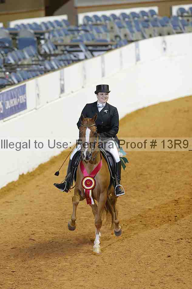 Proof Number 13r9_2757