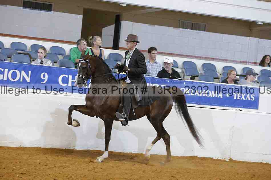 Proof Number 13r9_2802