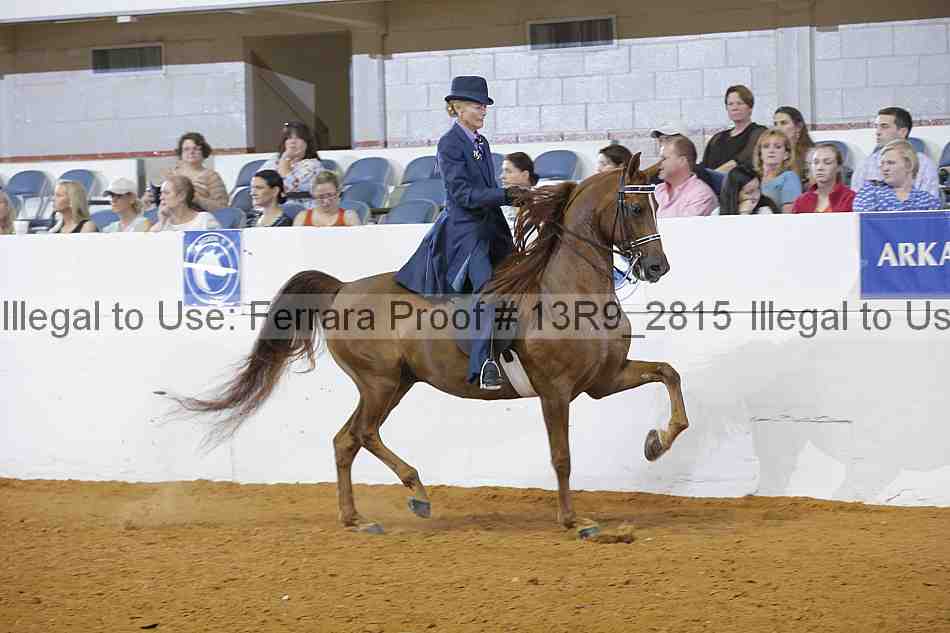 Proof Number 13r9_2815