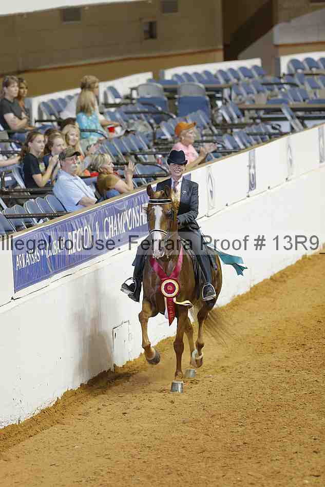 Proof Number 13r9_2834