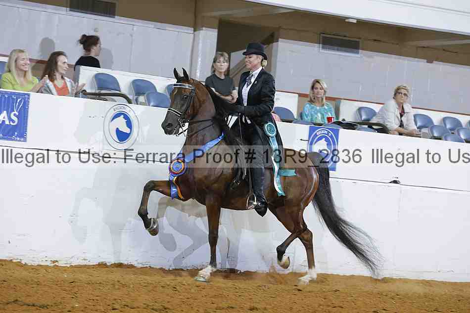 Proof Number 13r9_2836