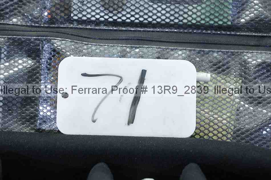Proof Number 13r9_2839