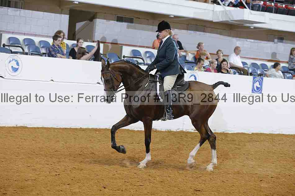 Proof Number 13r9_2844