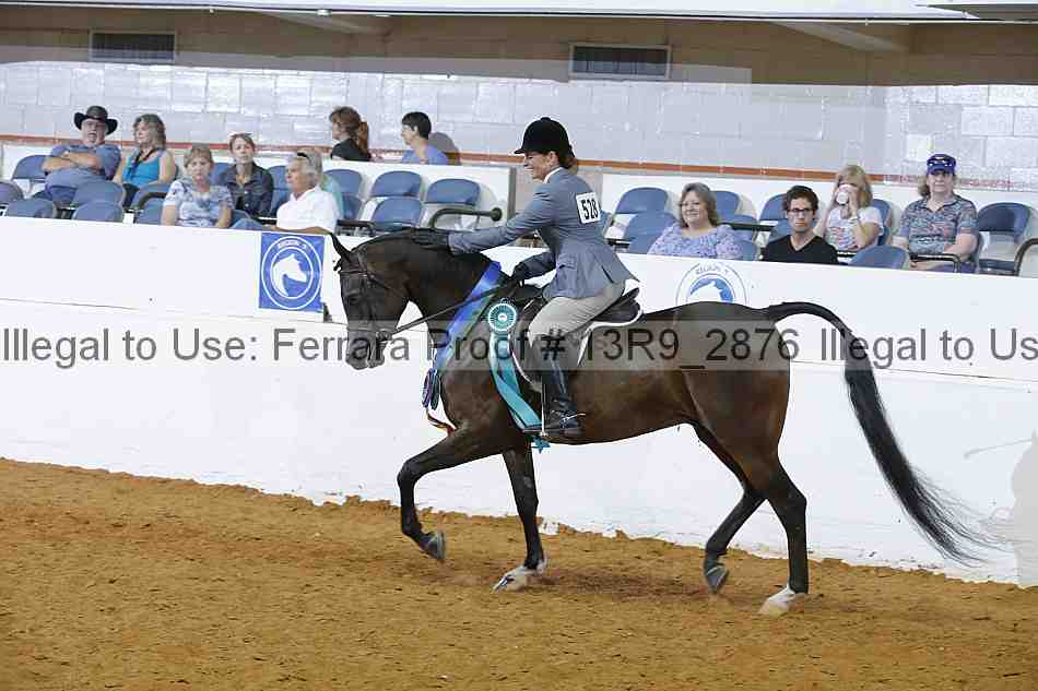 Proof Number 13r9_2876